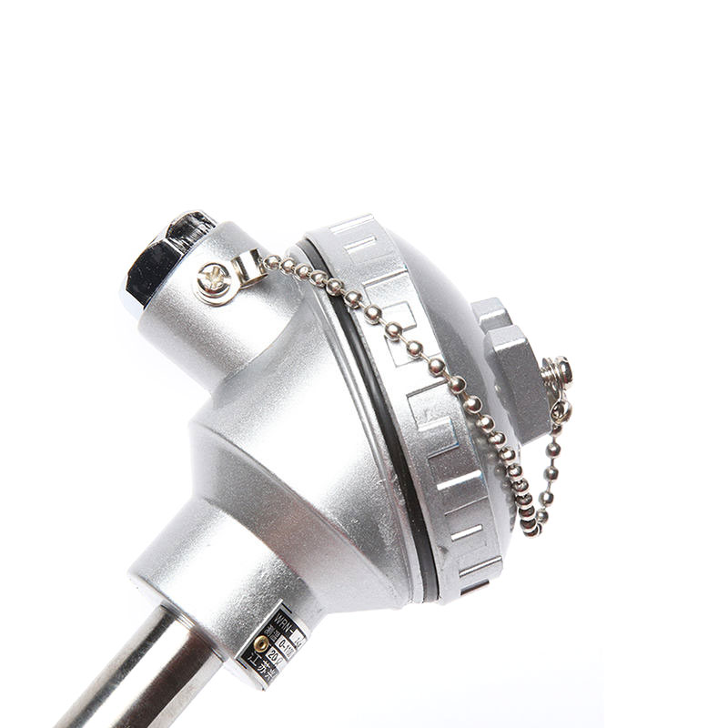 Sonda de sensor de alta temperatura para forno de termopar de platina-ródio tipo S/B/R de 0,2–0,4 mm de diâmetro para metais fundidos