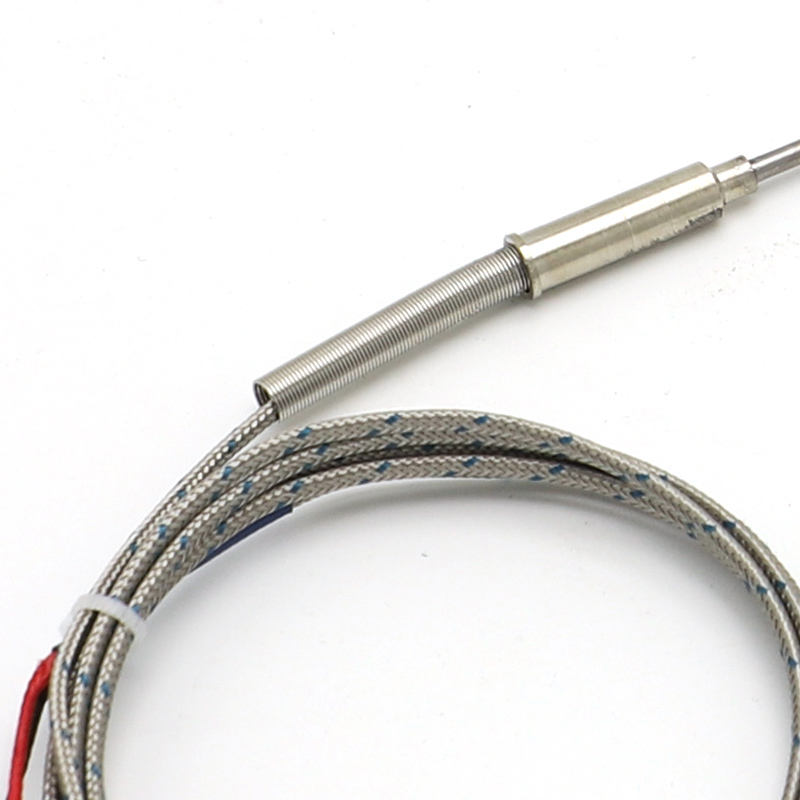 Termopar flexível com agulha blindada, Tipo K, 2 fios, termopar de alta temperatura e alta precisão com sensor PT100 RTD estendido