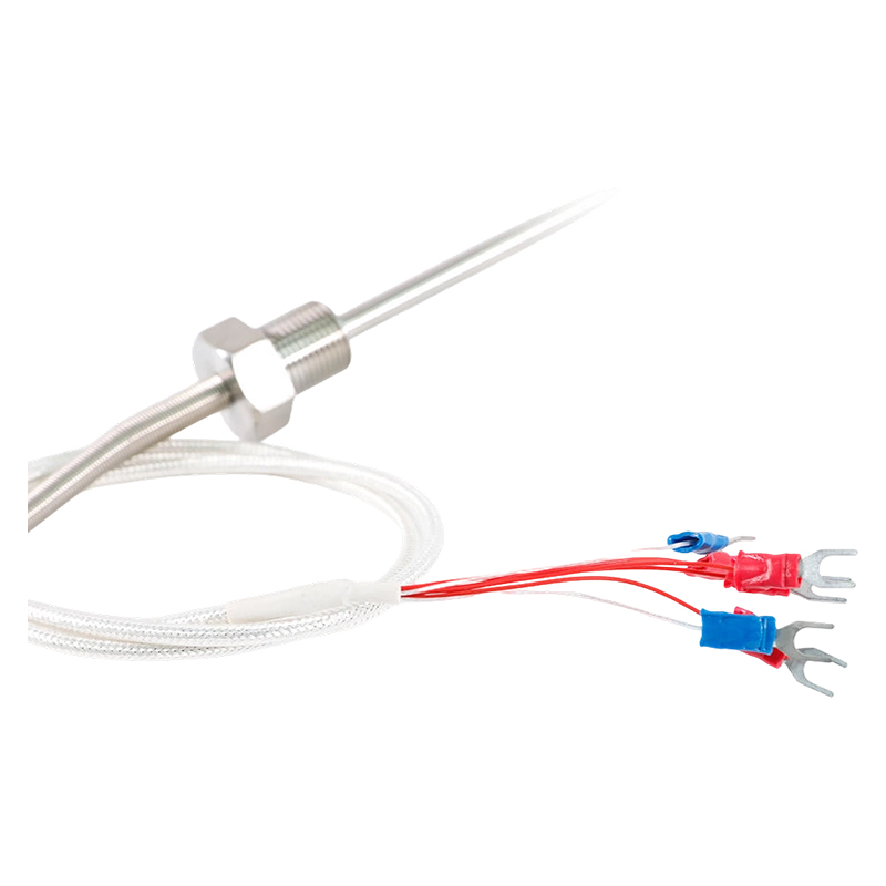 Direto da fábrica - 200 ~ 450°C Classe A 316 Rtd Pt100 Sensor de temperatura Sonda de termômetro de resistência de platina Termômetro rosqueado de 1/2